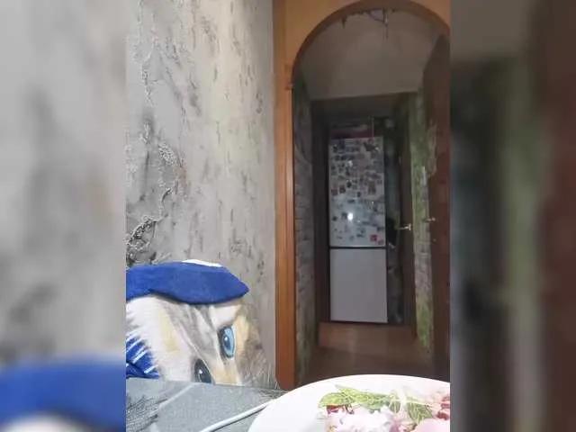 catsloveqq —   