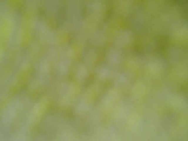 LorennaBrown69 on BongaCams