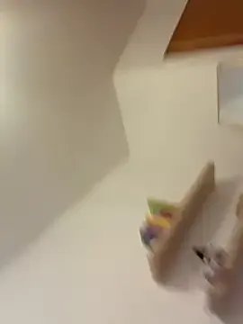 BitchyBratxxx — Flash tette