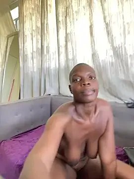 THESTALLIONBARBIEDOLL — Freechat on StripChat